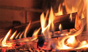 Elisabeth Schittenhelm, fotolia.de